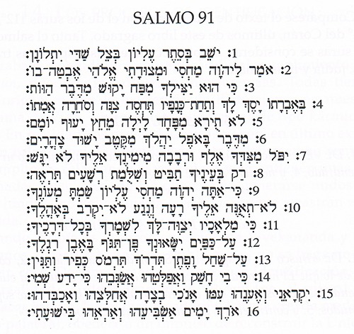 Tehilim 91 Salmo